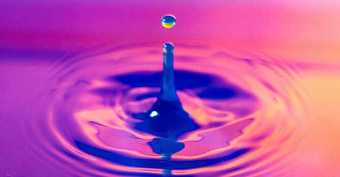 Purification Program image